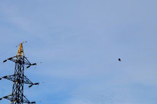 DSCF1481.JPG